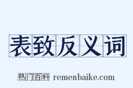 表致反义词是什么意思的图片